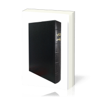 ARABE BIBLE VAN DICK RIGIDE NOIRE