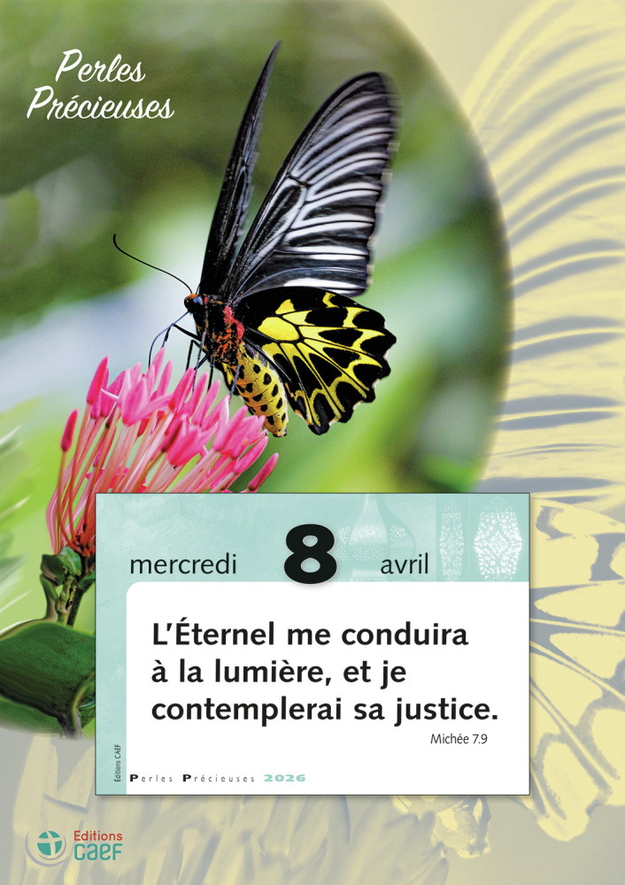 CALENDRIER CAEF PERLES PRECIEUSES - BLOC ET PLAQUE