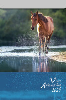 CALENDRIER CAEF VIVRE AUJOURD'HUI - BLOC GRANDE PLAQUE - MURAL