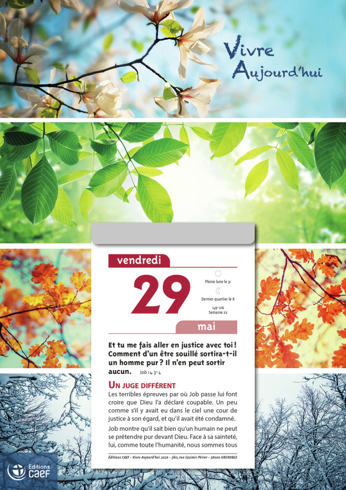 CALENDRIER CAEF VIVRE AUJOURD'HUI - BLOC GRANDE PLAQUE - MURAL