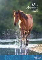 CALENDRIER CAEF VIVRE AUJOURD'HUI LIVRET