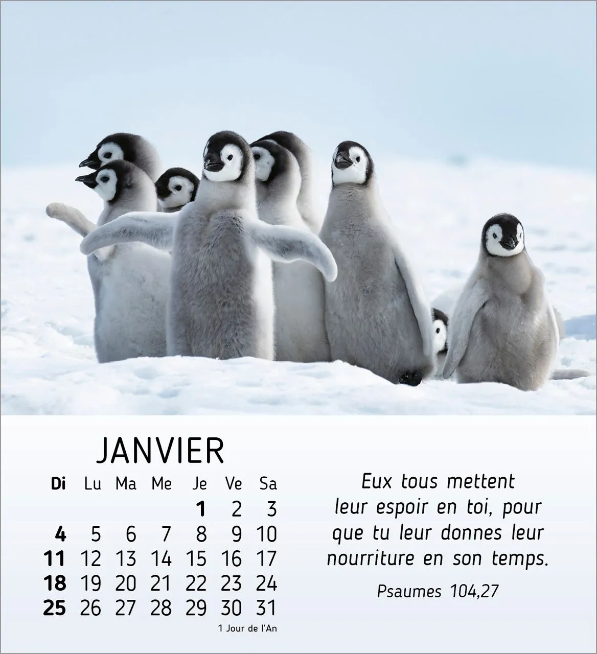 CALENDRIER CED MES PETITS AMIS AVEC TEXTES BIBLIQUES
