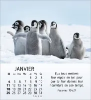 CALENDRIER CED MES PETITS AMIS AVEC TEXTES BIBLIQUES