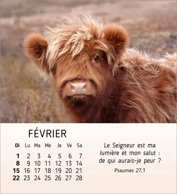 CALENDRIER CED MES PETITS AMIS AVEC TEXTES BIBLIQUES