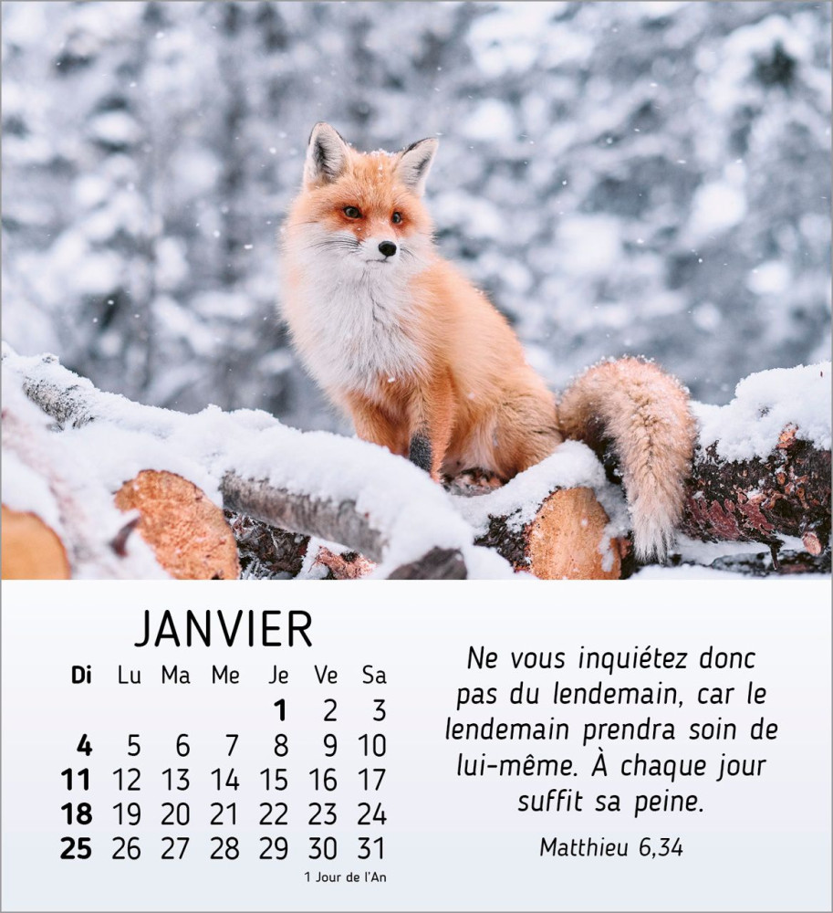 CALENDRIER CED NATURE EN PAIX
