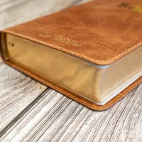 BIBLE SEGOND 21 COMPACTE "PREMIUM STYLE" SEMI-RIGIDE CUIR BRUN AVEC TRANCHES DOREES