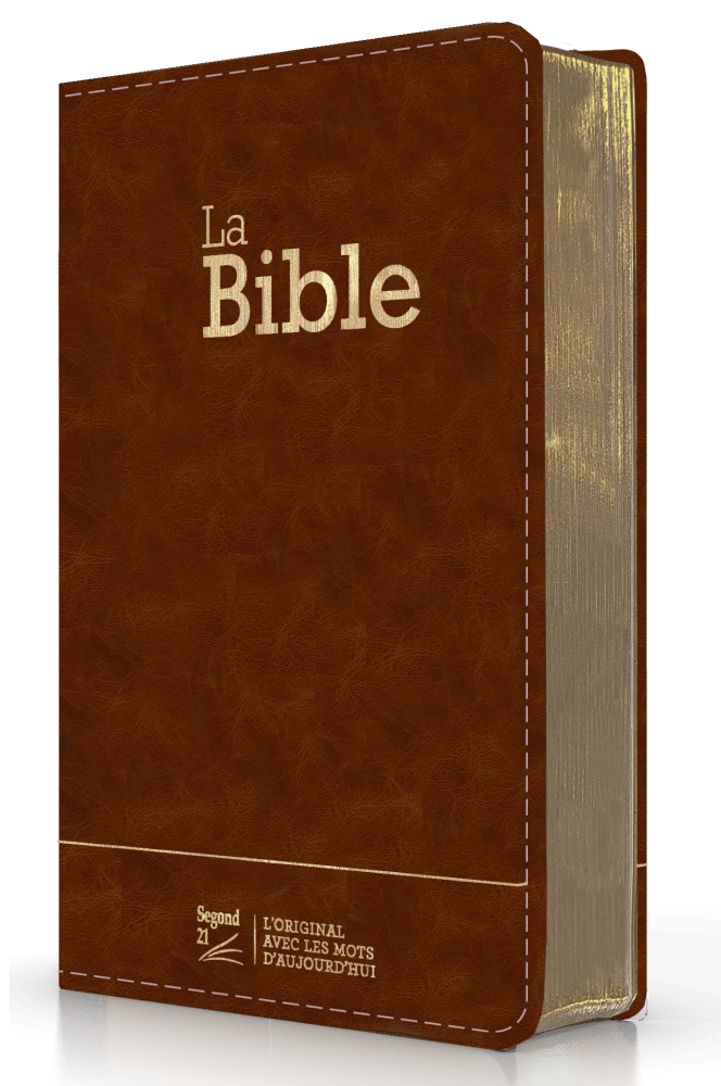BIBLE SEGOND 21 COMPACTE "PREMIUM STYLE" SEMI-RIGIDE CUIR BRUN AVEC TRANCHES DOREES