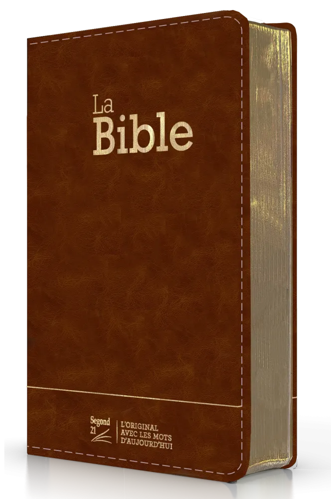 BIBLE SEGOND 21 COMPACTE "PREMIUM STYLE" SEMI-RIGIDE CUIR BRUN AVEC TRANCHES DOREES