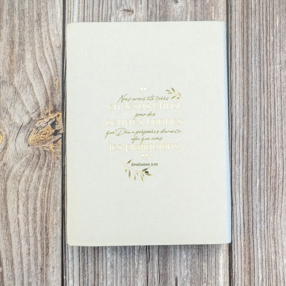 BIBLE SEGOND 21 JOURNAL DE BORD SOUPLE TOILEE BLANC MOTIFS DORES