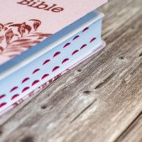 BIBLE SEGOND 21 COMPACTE "PREMIUM STYLE" SOUPLE TOILE ROSE AVEC ONGLETS