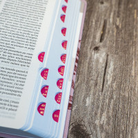 BIBLE SEGOND 21 COMPACTE "PREMIUM STYLE" SOUPLE TOILE ROSE AVEC ONGLETS