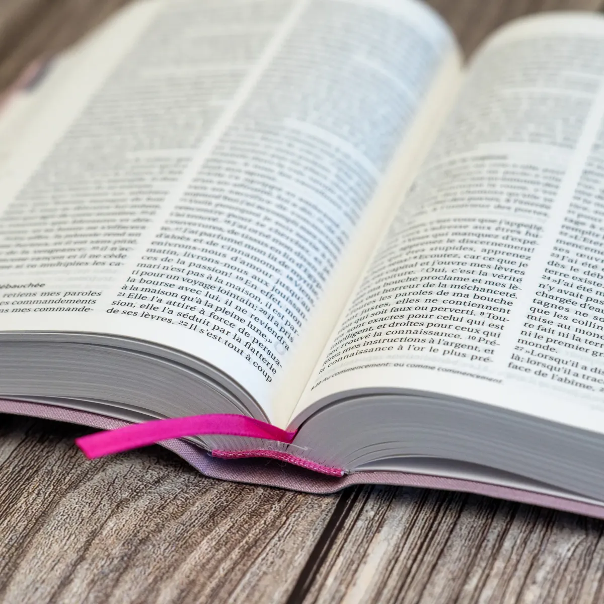 BIBLE SEGOND 21 COMPACTE "PREMIUM STYLE" SOUPLE TOILE ROSE AVEC ONGLETS