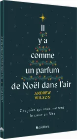 IL Y A COMME UN PARFUM DE NOEL DANS L'AIR - CES JOIES QUI NOUS METTENT LE COEUR EN FETE