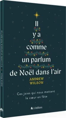 IL Y A COMME UN PARFUM DE NOEL DANS L'AIR - CES JOIES QUI NOUS METTENT LE COEUR EN FETE