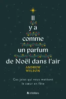 IL Y A COMME UN PARFUM DE NOEL DANS L'AIR - CES JOIES QUI NOUS METTENT LE COEUR EN FETE