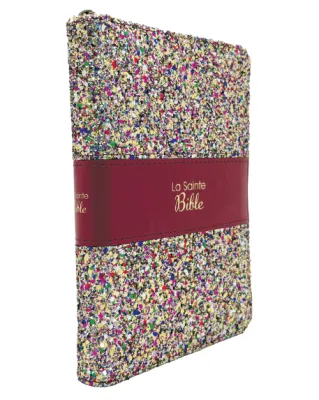 BIBLE SEGOND 1910 MULTICOLORE TRANCHE OR FERMETURE A GLISSIERE
