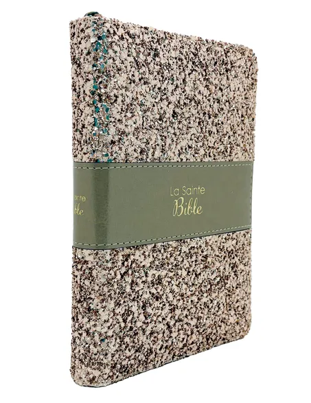 BIBLE SEGOND 1910 BRONZE DORE TRANCHE OR FERMETURE A GLISSIERE