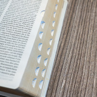 BIBLE SEGOND 21 COMPACTE "PREMIUM STYLE" SOUPLE TOILE BLANCHE NACREE AVEC ONGLETS TRANCHES DOREES