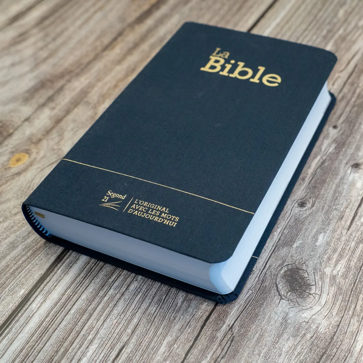BIBLE SEGOND 21 COMPACTE SOUPLE TOILE ANTHRACITE