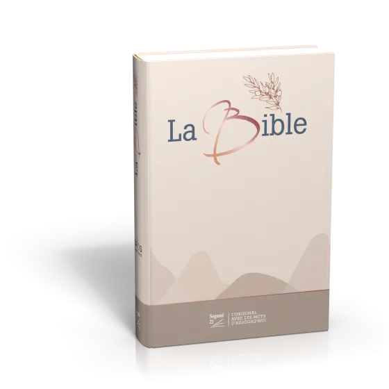 BIBLE SEGOND 21 GROS CARACTERES RIGIDE TOILEE MATELASSEE