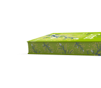 VIVRE EN CHRIST - 100 MEDITATIONS POUR GRANDIR