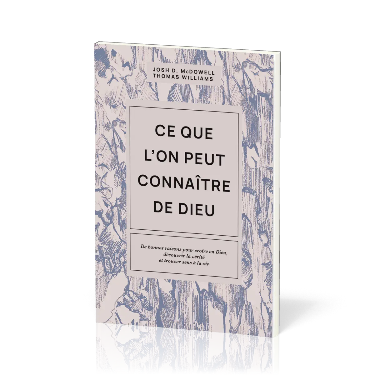 CE QUE L'ON PEUT CONNAITRE DE DIEU - DE BONNES RAISONS POUR CROIRE EN DIEU, DECOUVRIR LA VERITE ET T