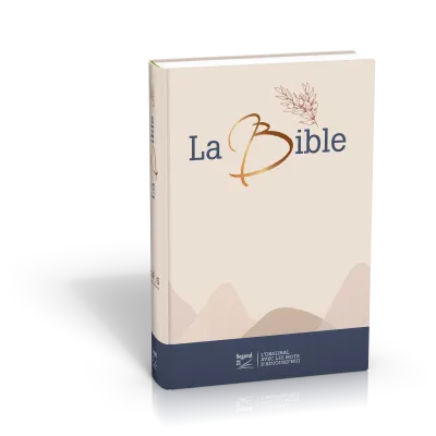 BIBLE SEGOND 21 GROS CARACTERES RIGIDE TOILEE MATELASSEE