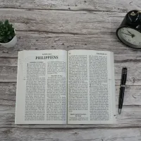 NOUVEAU TESTAMENT PSAUMES PROVERBES SEGOND 21 ILLUSTRE GROS CARACTERES