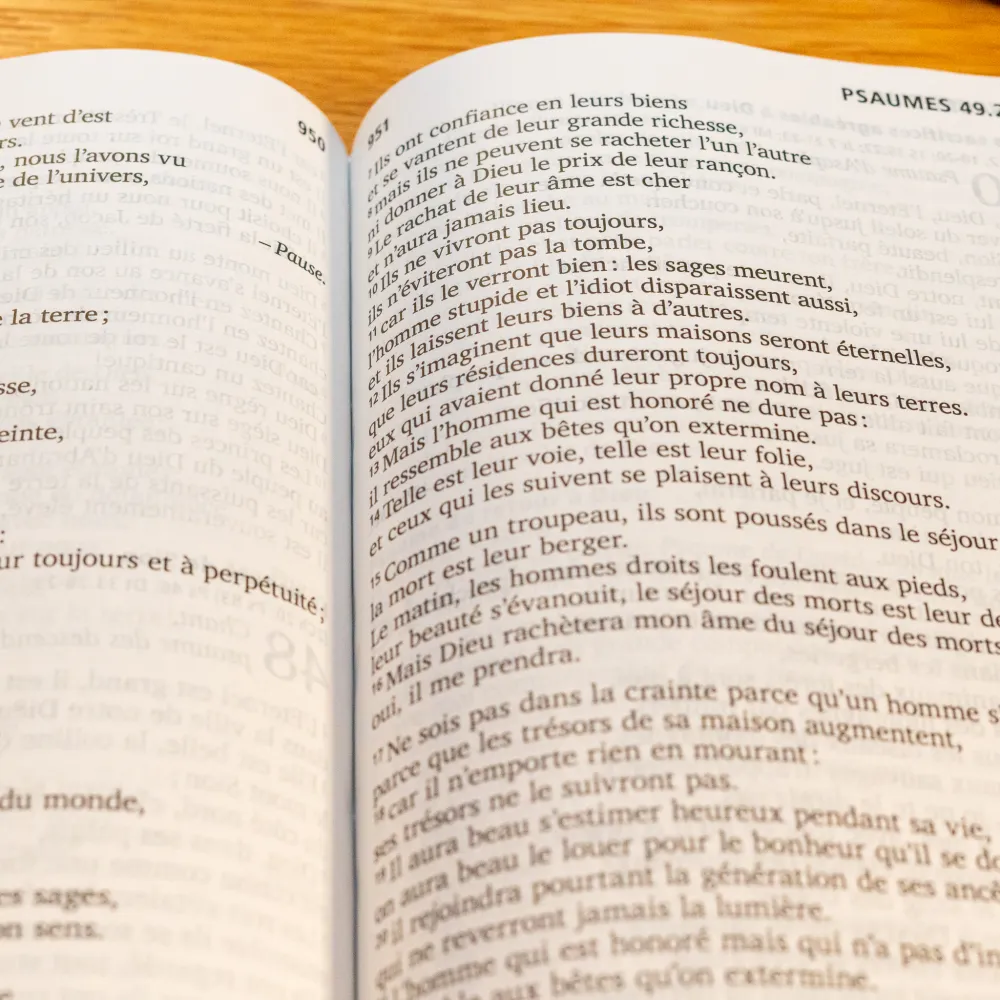 BIBLE SEGOND 21 GROS CARACTERES RIGIDE ILLUSTREE BLEU