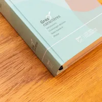 BIBLE SEGOND 21 GROS CARACTERES RIGIDE ILLUSTREE BLEU