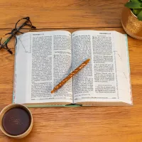 BIBLE SEGOND 21 GROS CARACTERES RIGIDE ILLUSTREE BLEU