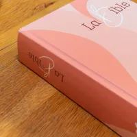 BIBLE SEGOND 21 GROS CARACTERES RIGIDE ILLUSTREE ROSE