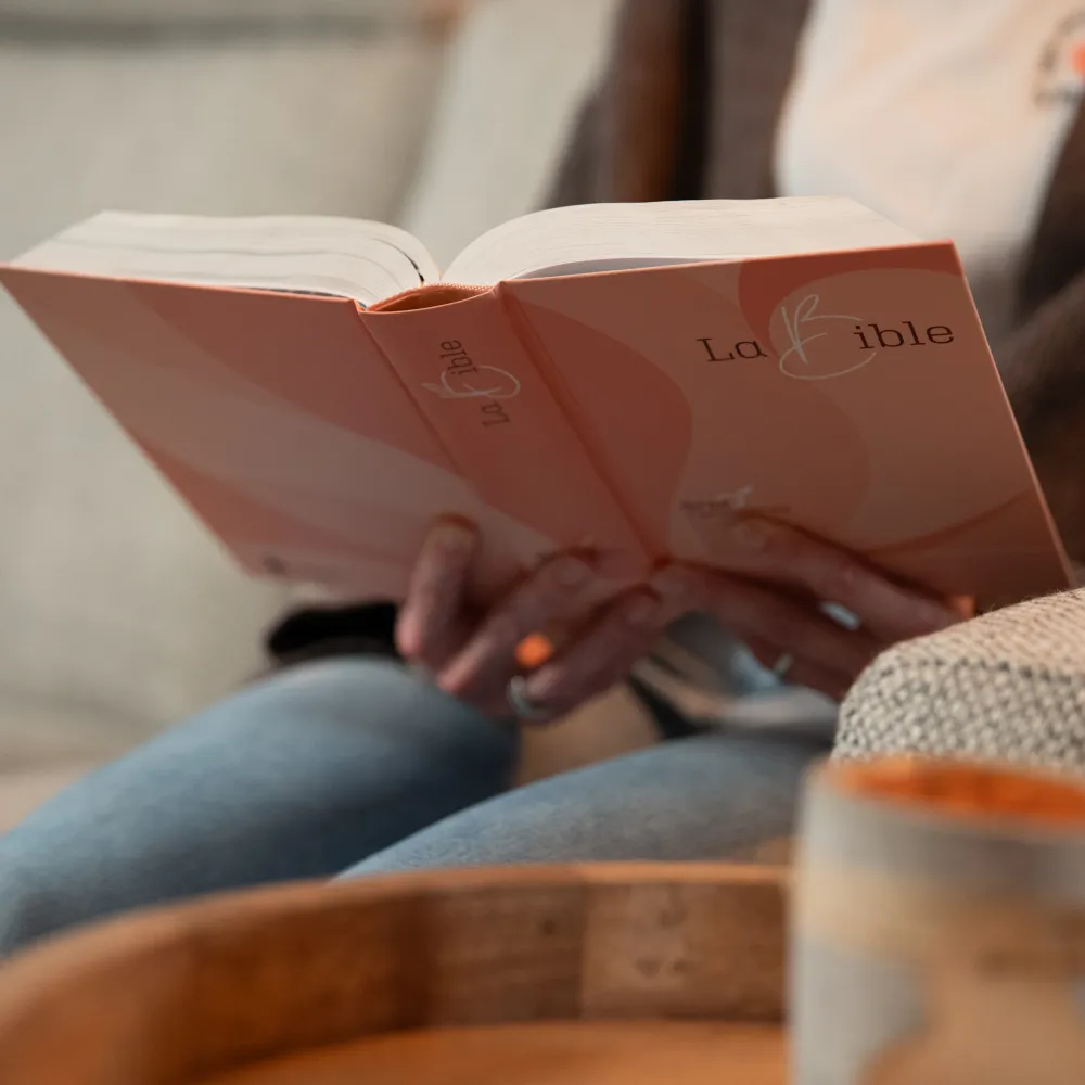 BIBLE SEGOND 21 GROS CARACTERES RIGIDE ILLUSTREE ROSE