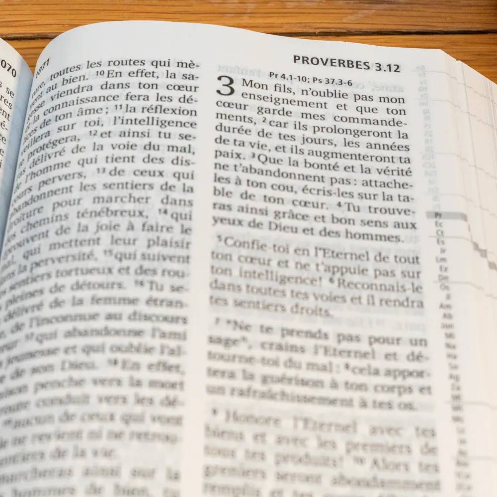 BIBLE SEGOND 21 GROS CARACTERES RIGIDE ILLUSTREE ROSE