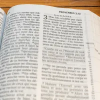 BIBLE SEGOND 21 GROS CARACTERES RIGIDE ILLUSTREE ROSE