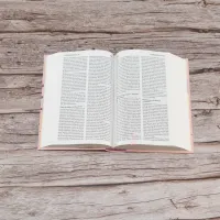 BIBLE SEGOND 21 COMPACTE RIGIDE SKIVERTEX ROSE GUIMAUVE - NOUVEAU PAPIER