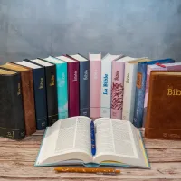 BIBLE SEGOND 21 COMPACTE "PREMIUM STYLE" SOUPLE TOILE BLANCHE NACREE AVEC ONGLETS TRANCHES DOREES