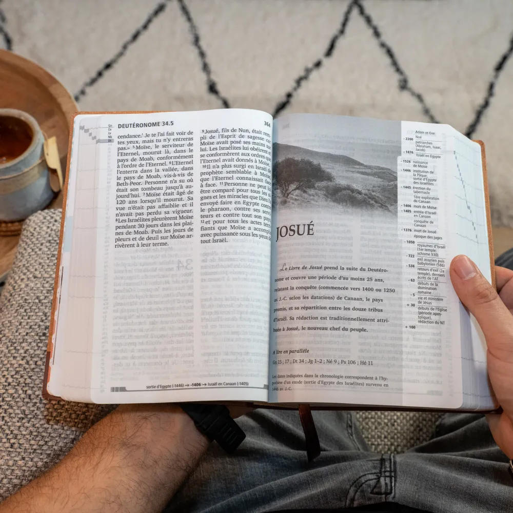 BIBLE SEGOND 21 GROS CARACTERES SEMI-RIGIDE PAPIER BRUN CHINÉ EN FIBRES NATURELLES