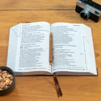 BIBLE SEGOND 21 GROS CARACTERES SEMI-RIGIDE PAPIER BRUN CHINÉ EN FIBRES NATURELLES