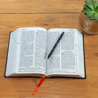 BIBLE SEGOND 21 GROS CARACTERES SOUPLE FIBROCUIR NOIR