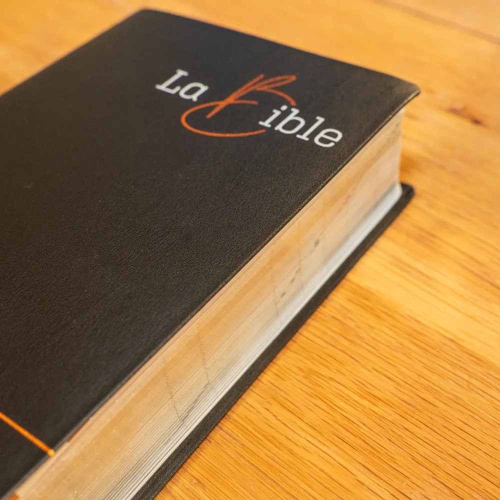 BIBLE SEGOND 21 GROS CARACTERES SOUPLE FIBROCUIR NOIR