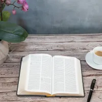 BIBLE SEGOND 21 COMPACTE "PREMIUM STYLE" SEMI-RIGIDE CUIR ANTHRACITE AVEC TRANCHES DOREES