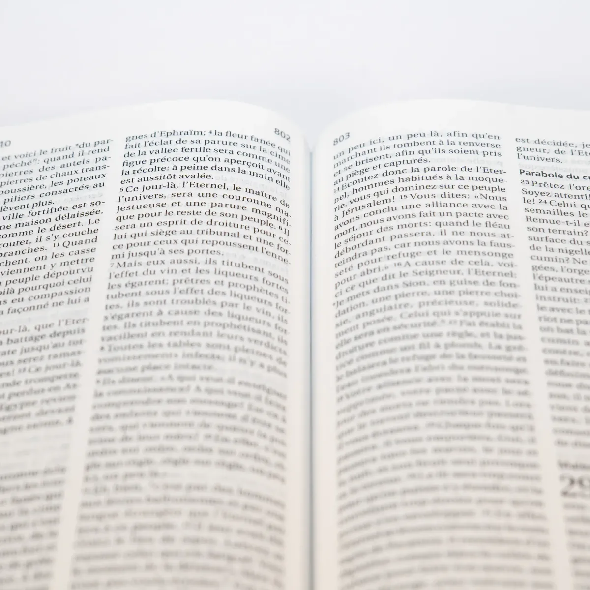 BIBLE SEGOND 21 COMPACTE "PREMIUM STYLE" SEMI-RIGIDE CUIR ANTHRACITE AVEC TRANCHES DOREES