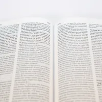 BIBLE SEGOND 21 COMPACTE "PREMIUM STYLE" SEMI-RIGIDE CUIR ANTHRACITE AVEC TRANCHES DOREES