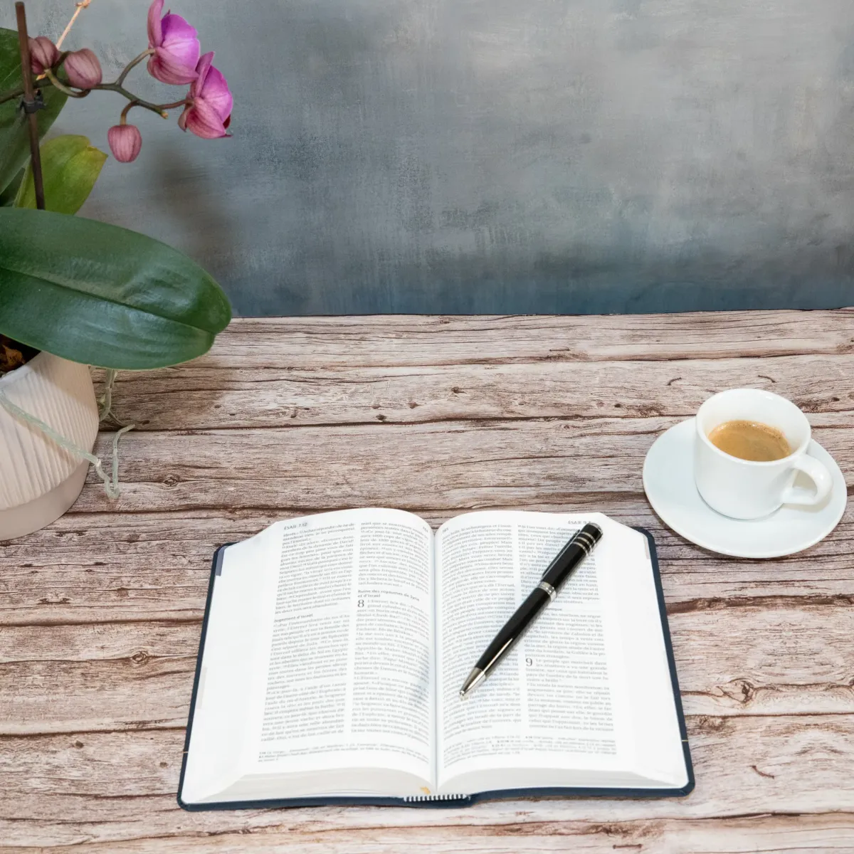 BIBLE SEGOND 21 COMPACTE SOUPLE TOILE ANTHRACITE