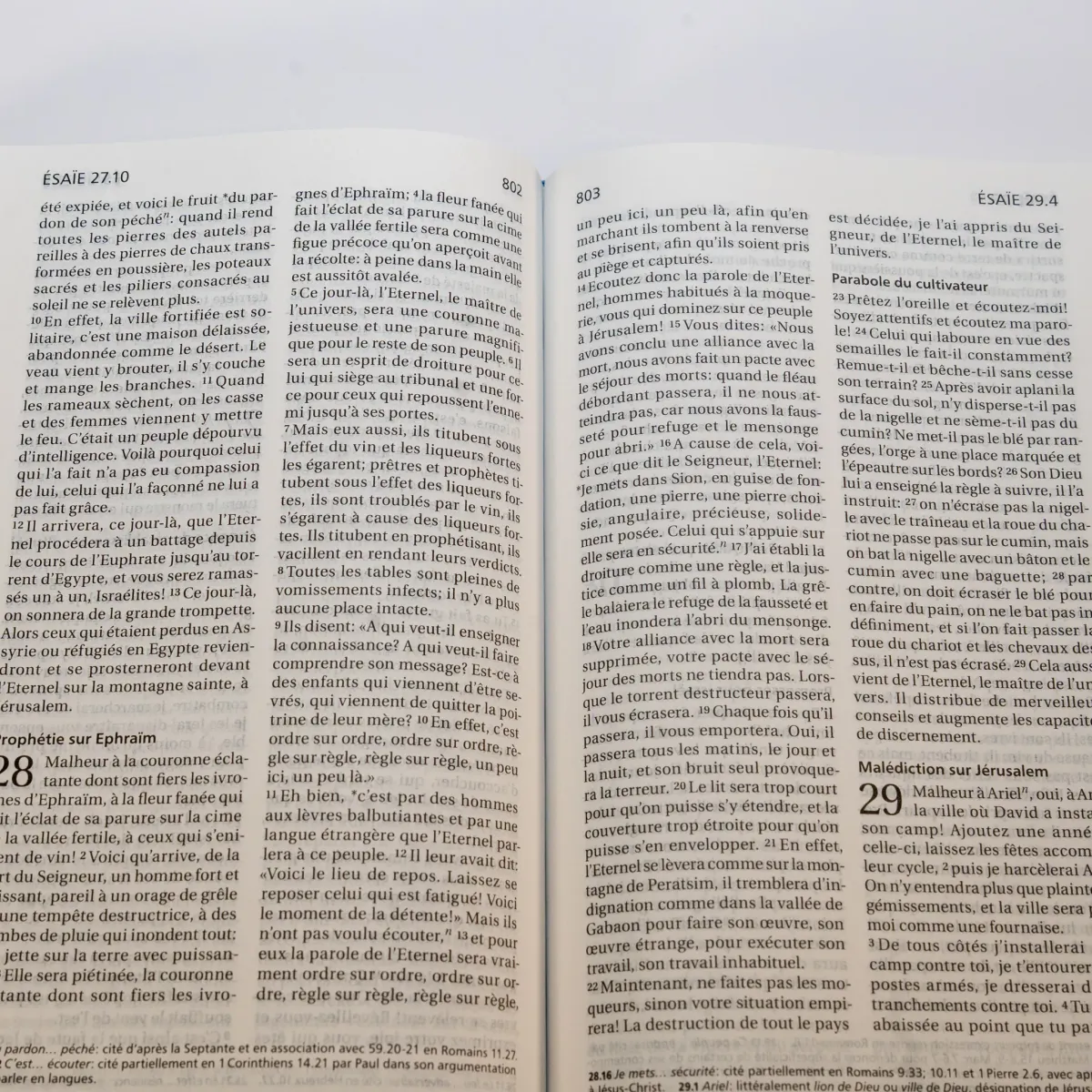 BIBLE SEGOND 21 RIGIDE LAMINE MOTIF BLEU TURQUOISE