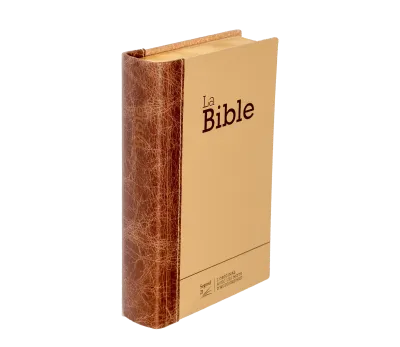 BIBLE SEGOND 21 COMPACTE "PREMIUM STYLE" SEMI RIGIDE DUO CUIR PRALINE CHOCOLAT - TRANCHES DOREES