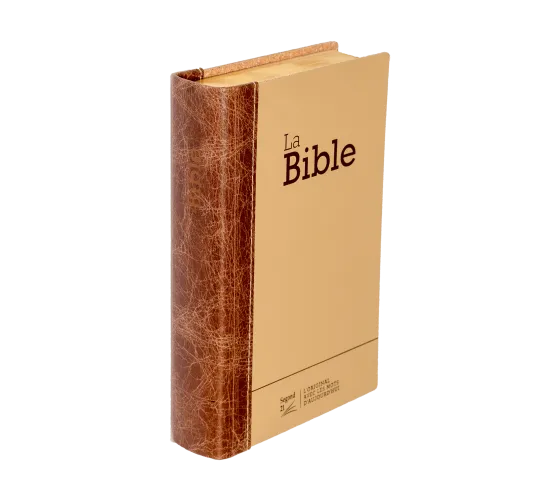 BIBLE SEGOND 21 COMPACTE "PREMIUM STYLE" SEMI RIGIDE DUO CUIR PRALINE CHOCOLAT - TRANCHES DOREES