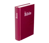 BIBLE SEGOND 21 COMPACTE RIGIDE LAMINE MOTIF PRUNE