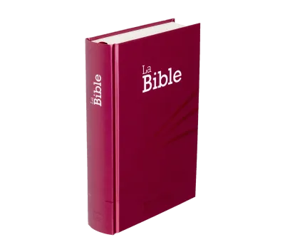 BIBLE SEGOND 21 COMPACTE RIGIDE LAMINE MOTIF PRUNE